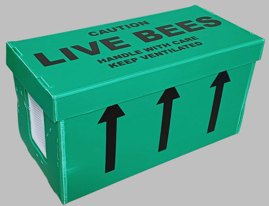 Summer nuc - National - Deposit only £60