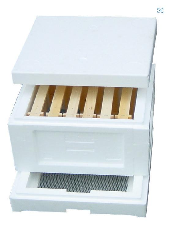 Mini Plus