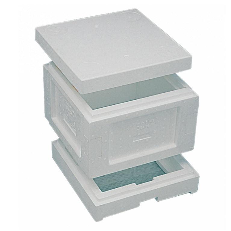 Mini Plus