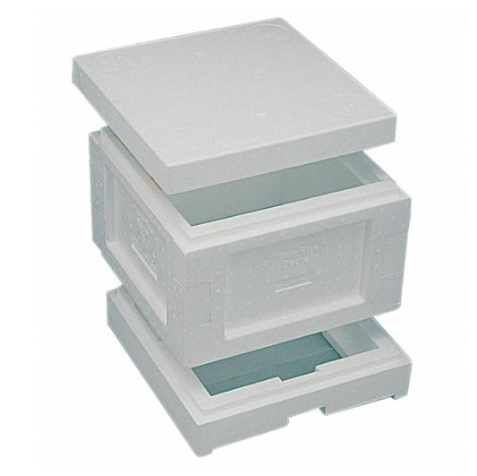 Mini Plus